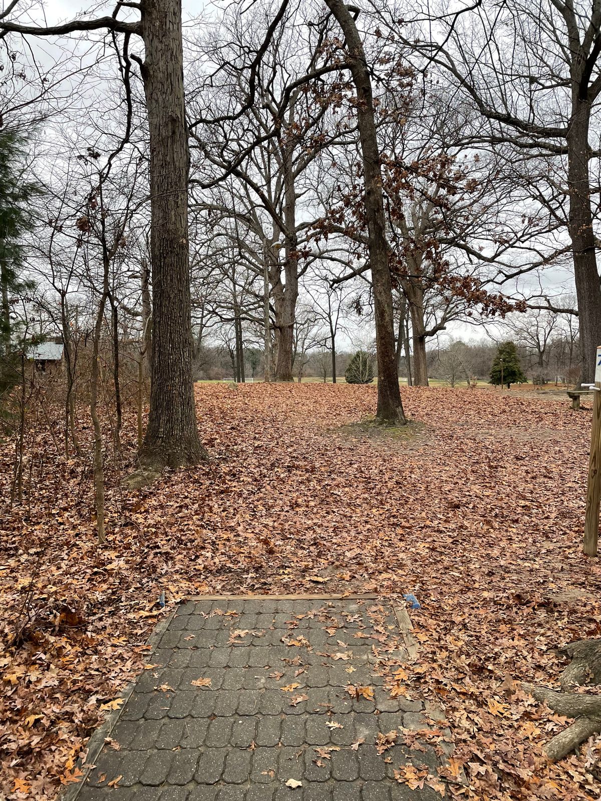 Fairway 7
January 1, 2024