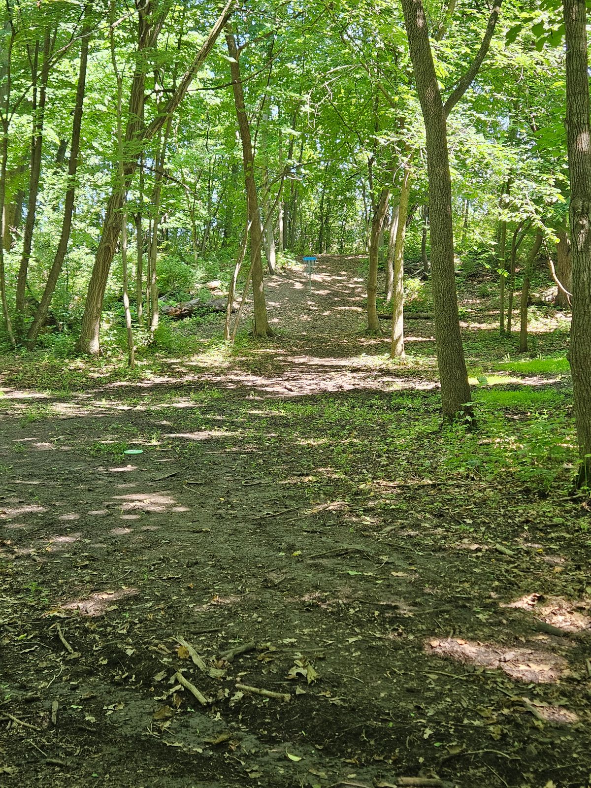 Hole 4 fairway