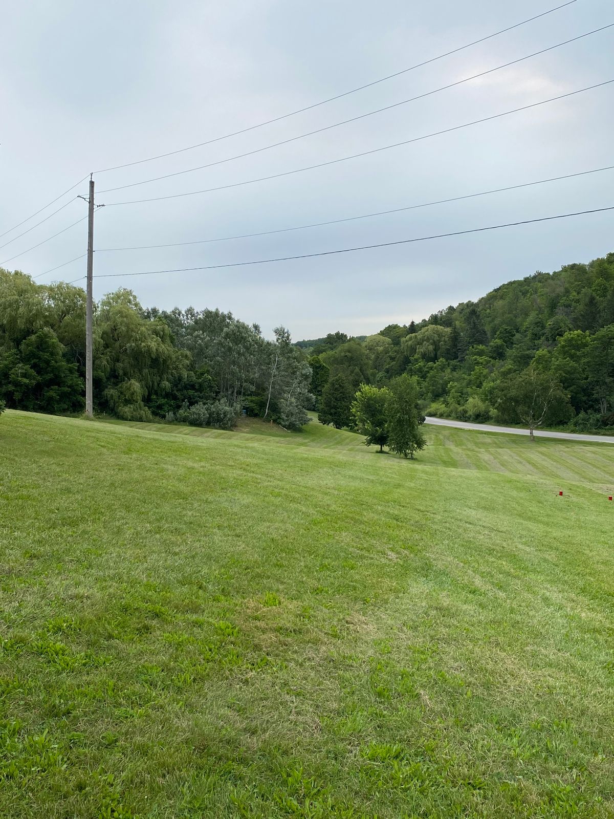 A nice long downhill shot into a treed green.