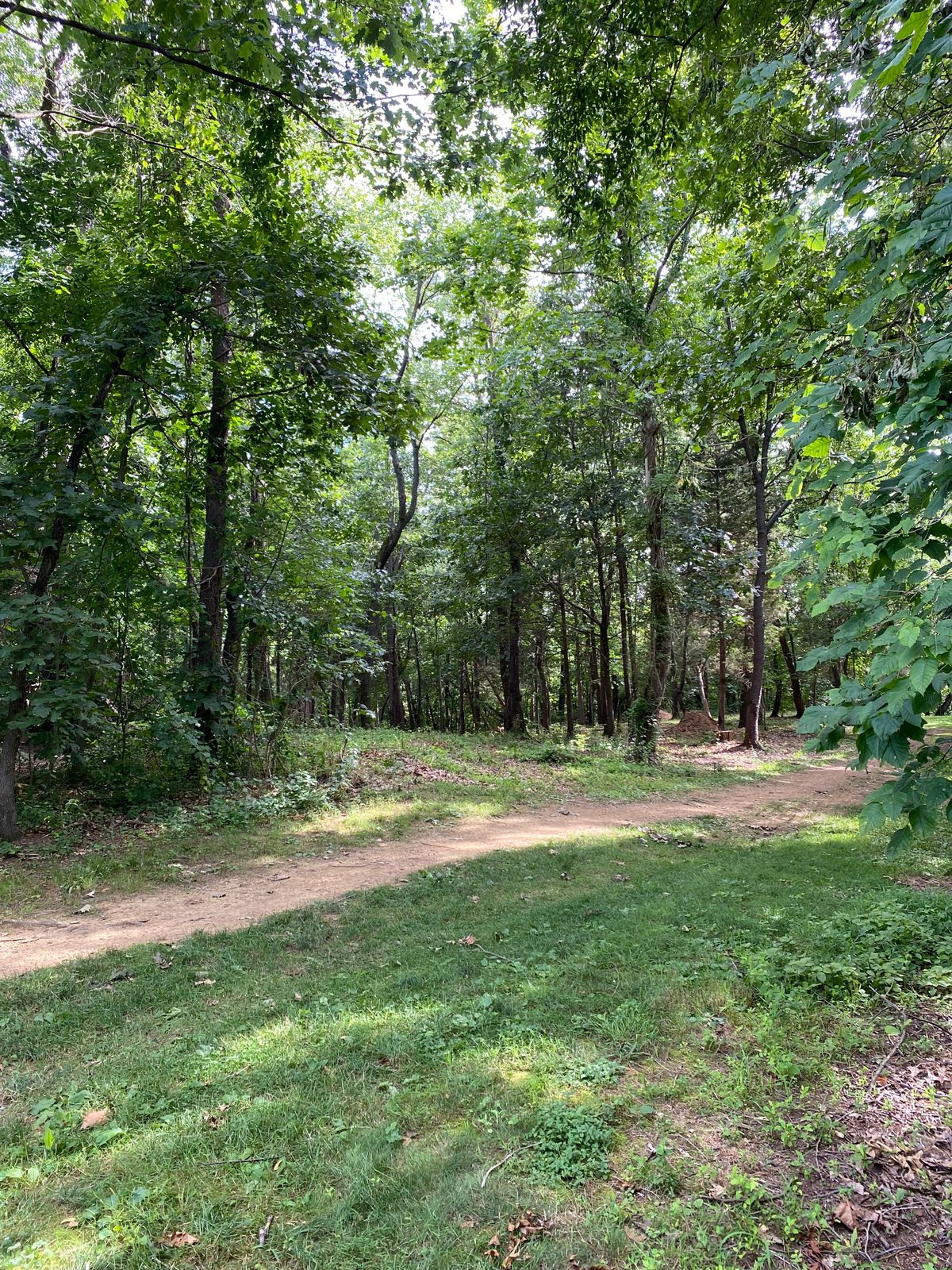 Martin’s Mill Hole 1