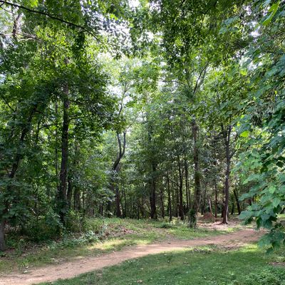 Martin’s Mill Hole 1