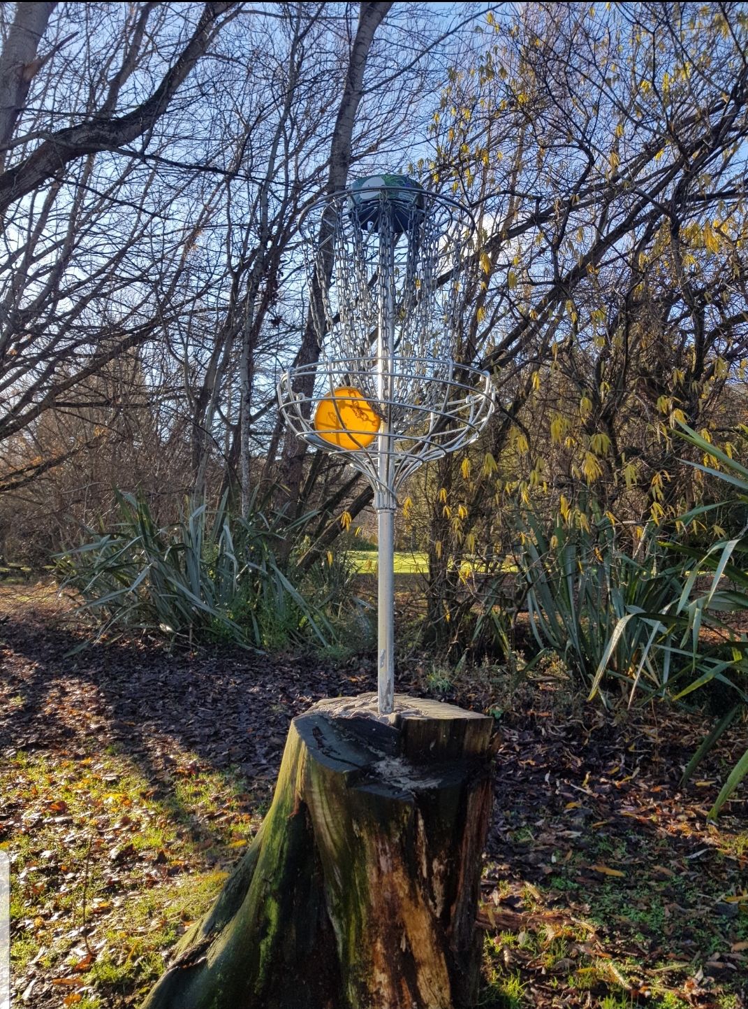 Hole 4's elevated basket