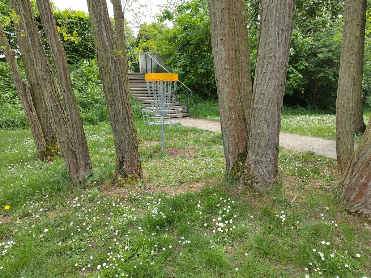 Hole 6