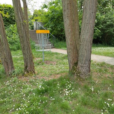 Hole 6