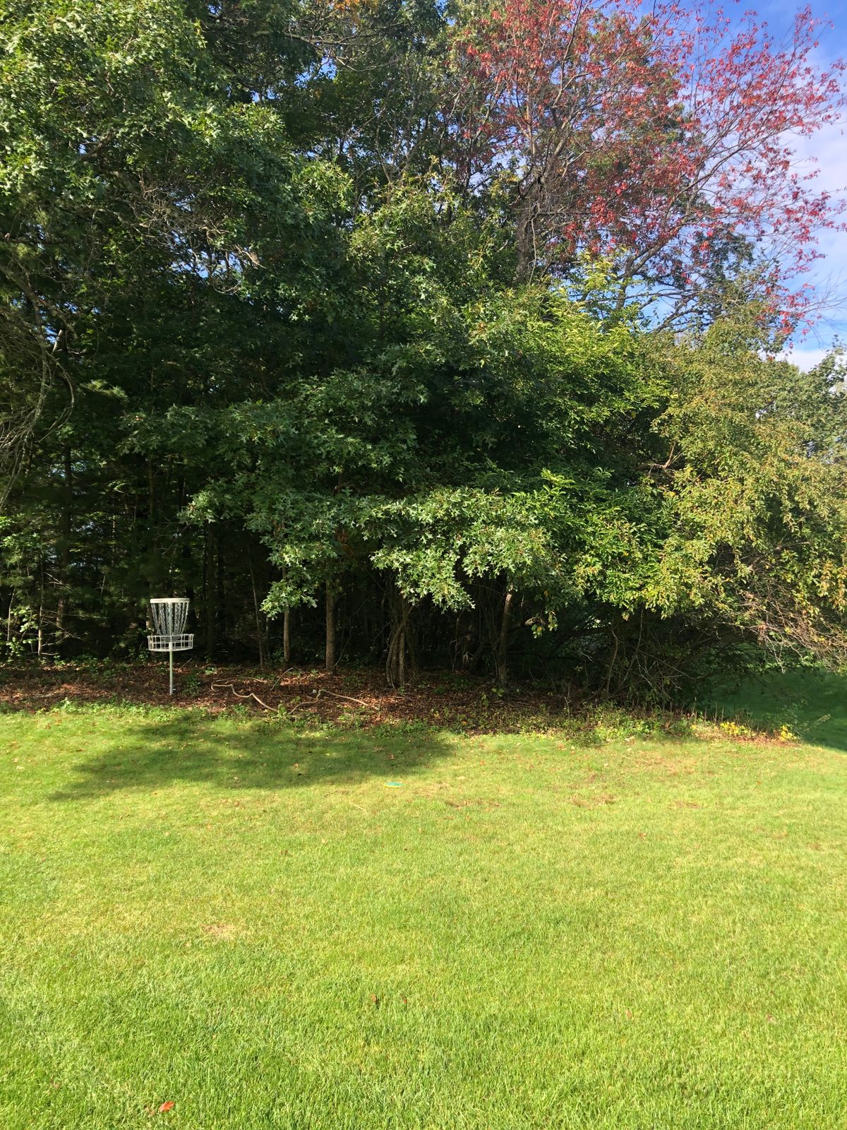 Hole 3 basket