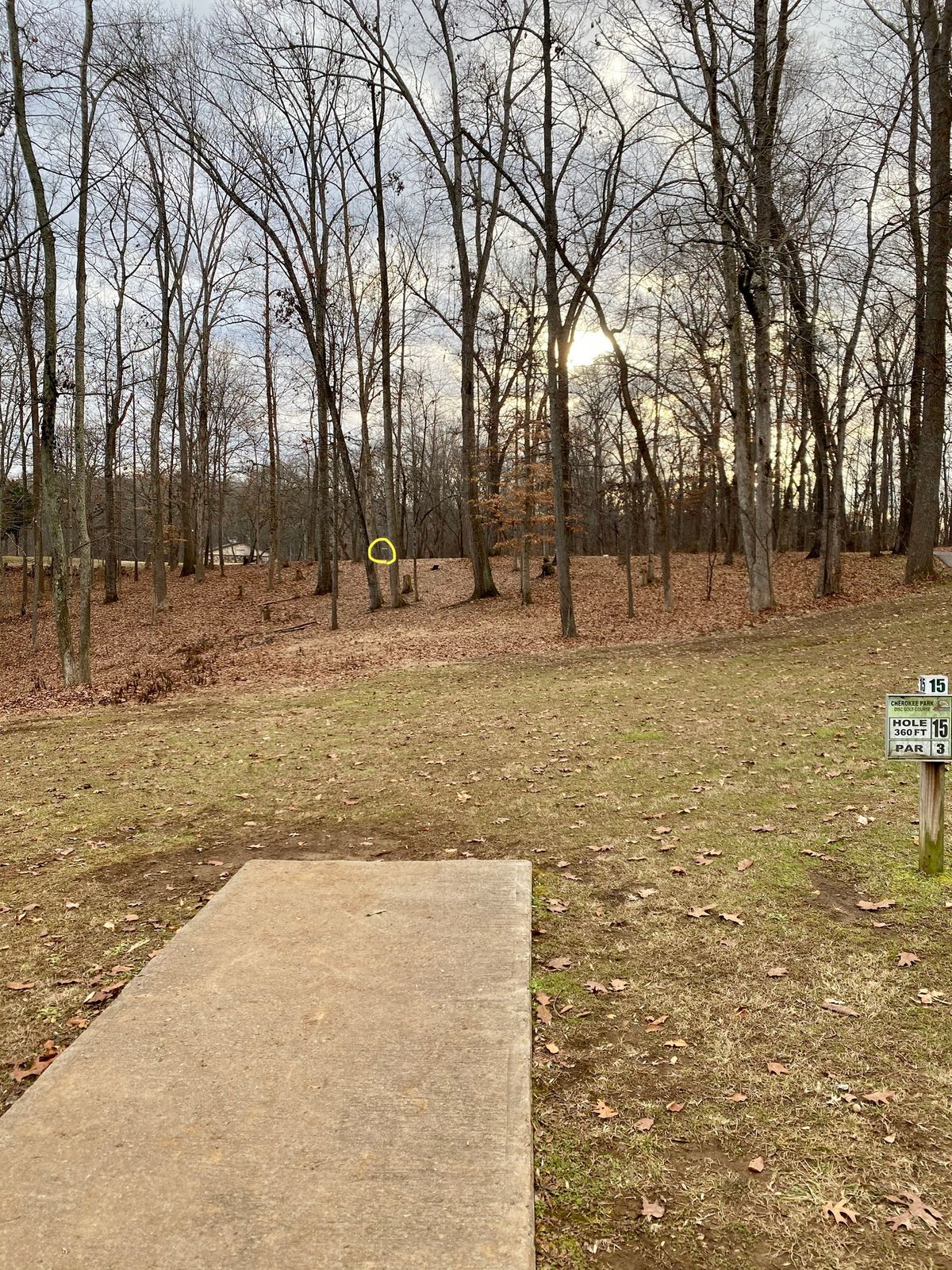 Hole 15 tee