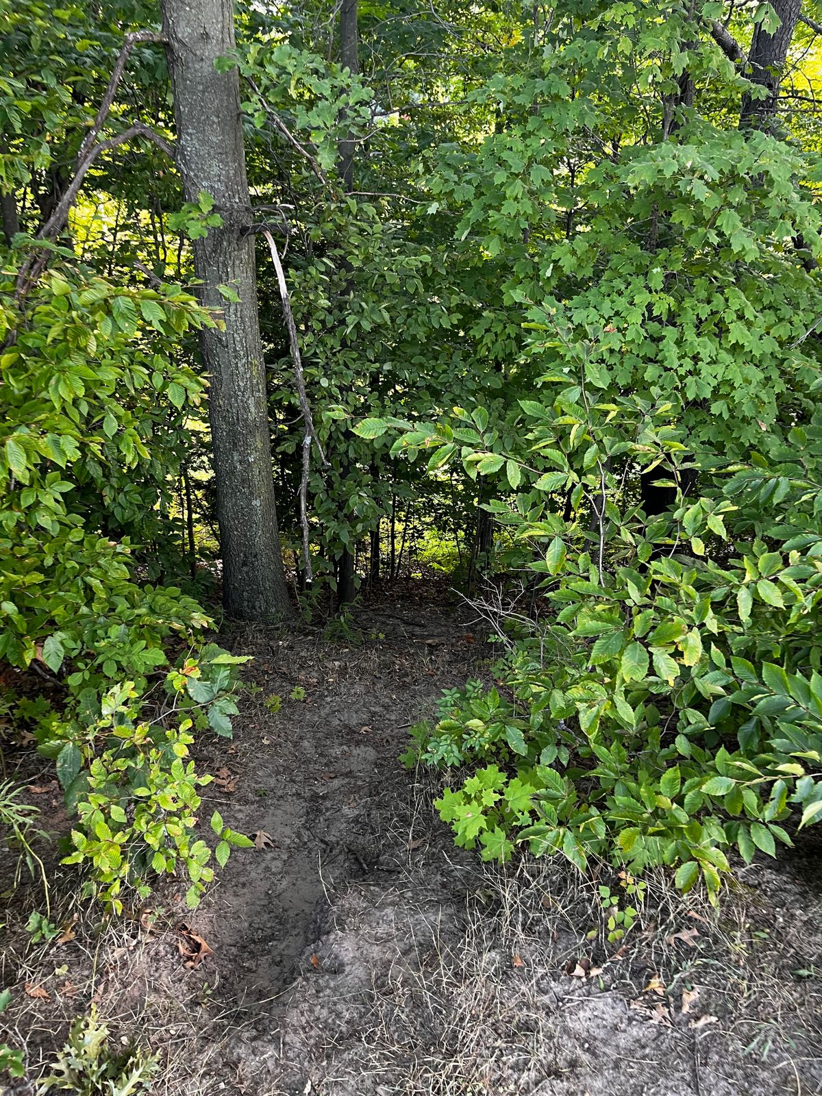Giant hidden hill, runs all along the left of hole 5