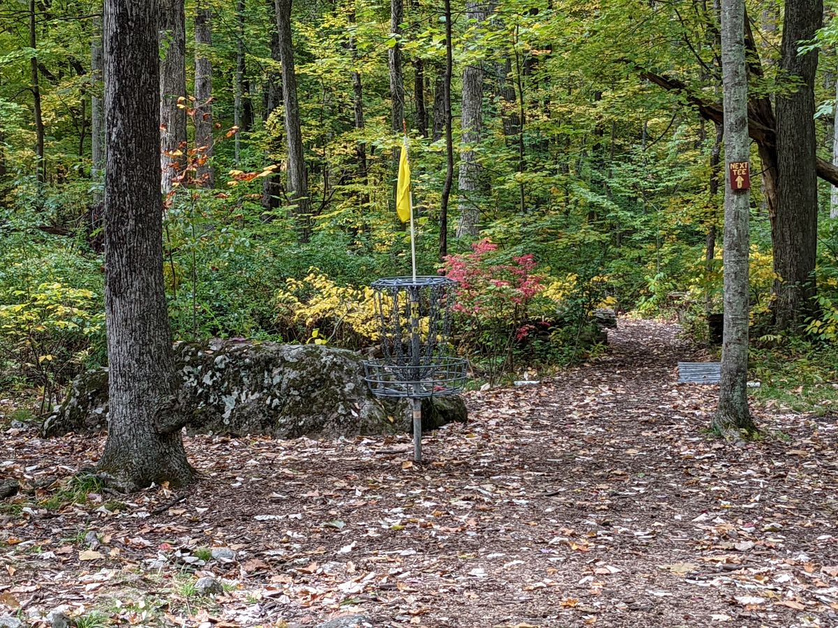 Hole 15