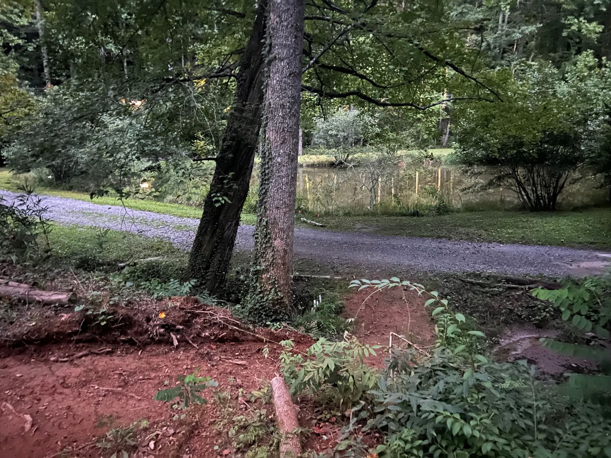 Down the path to hole 10 tee pad.