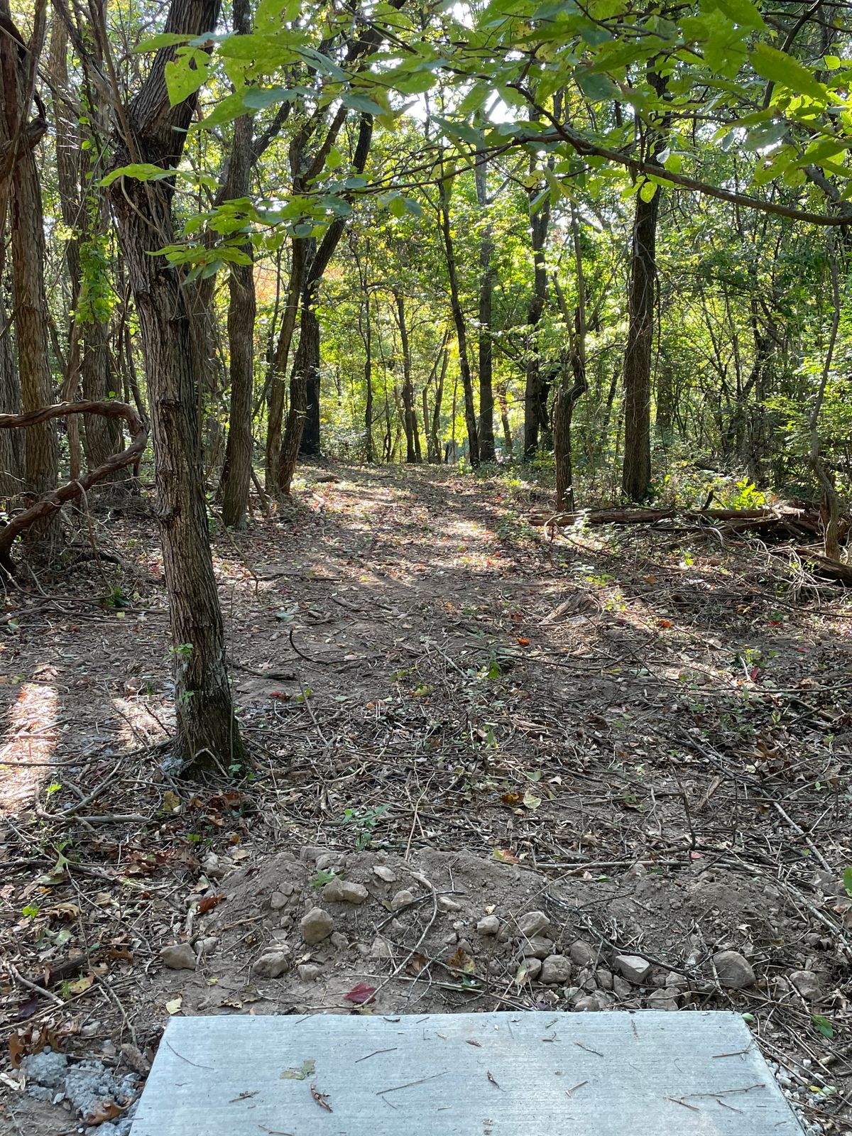 Hole 11