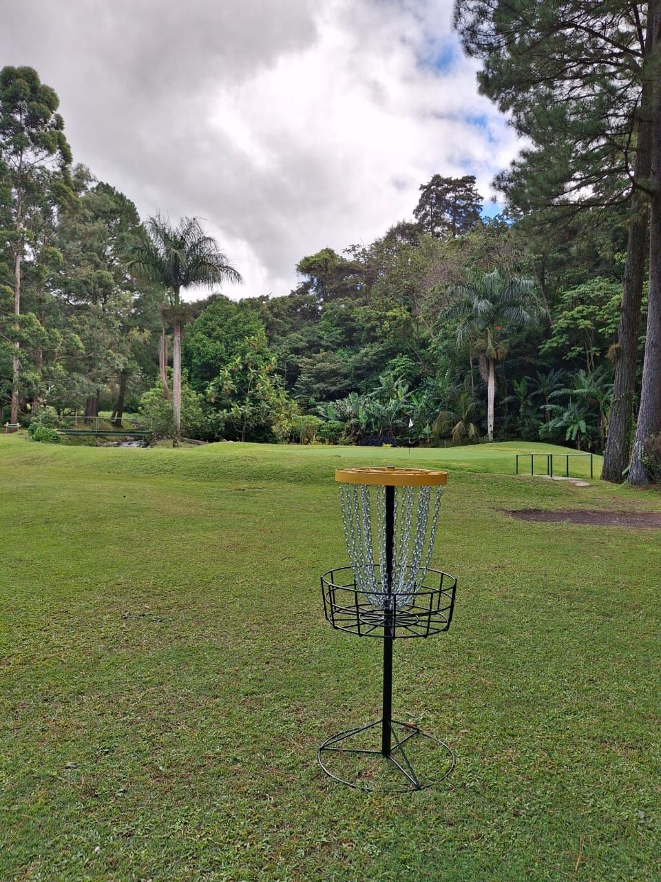 Hole 9