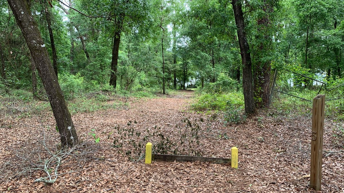 Hole 5
