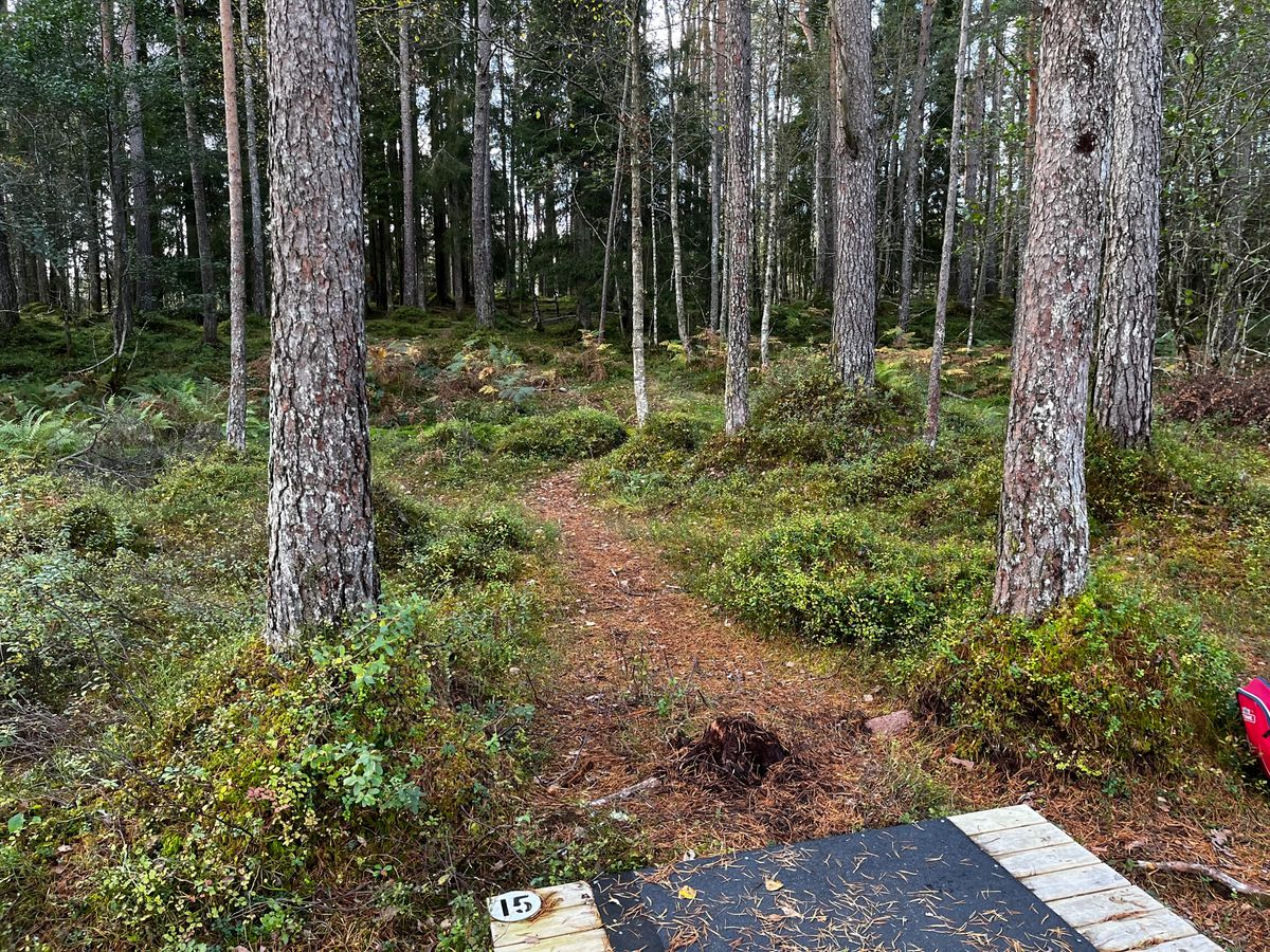 Ute å spæla med venar e livet #notlonely