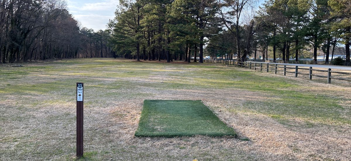 Hole 11
