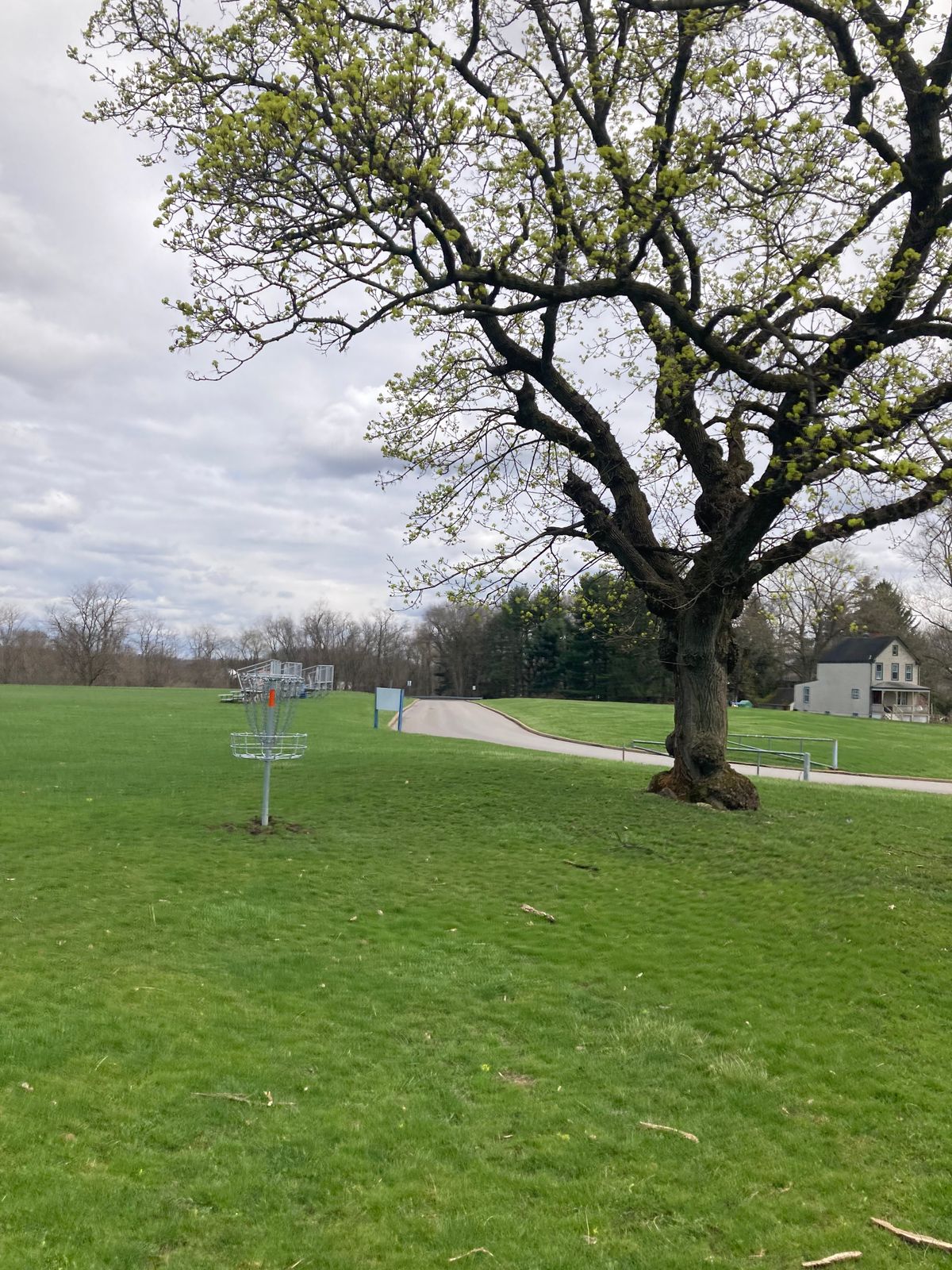 Another Open Par 4 With A Beautiful Tree Hanging Over The Basket!