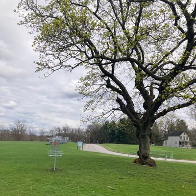 Another Open Par 4 With A Beautiful Tree Hanging Over The Basket!