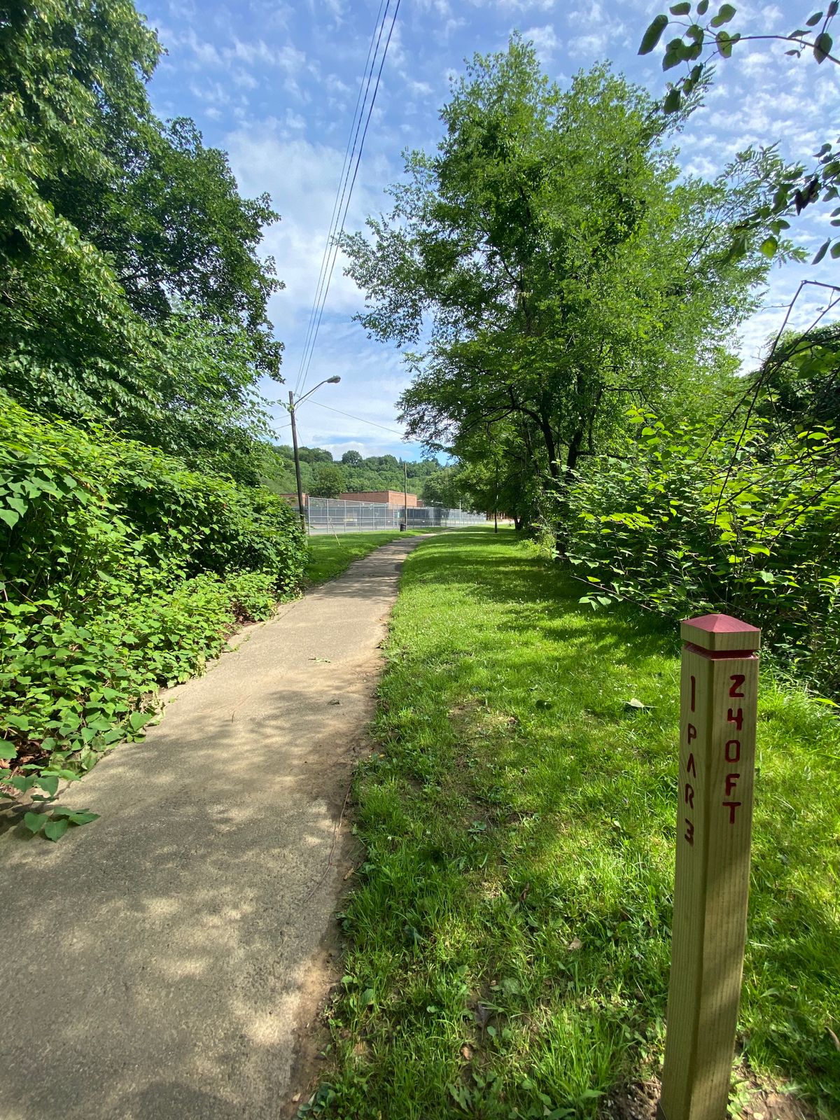 Hole one. Basket is to the right of the path. Water hazard to the right of the basket.