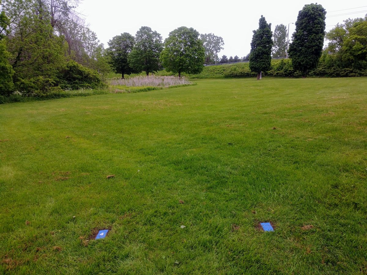 #4 Blue tees on 570' The Big Squeezy could see landing in the marshes.