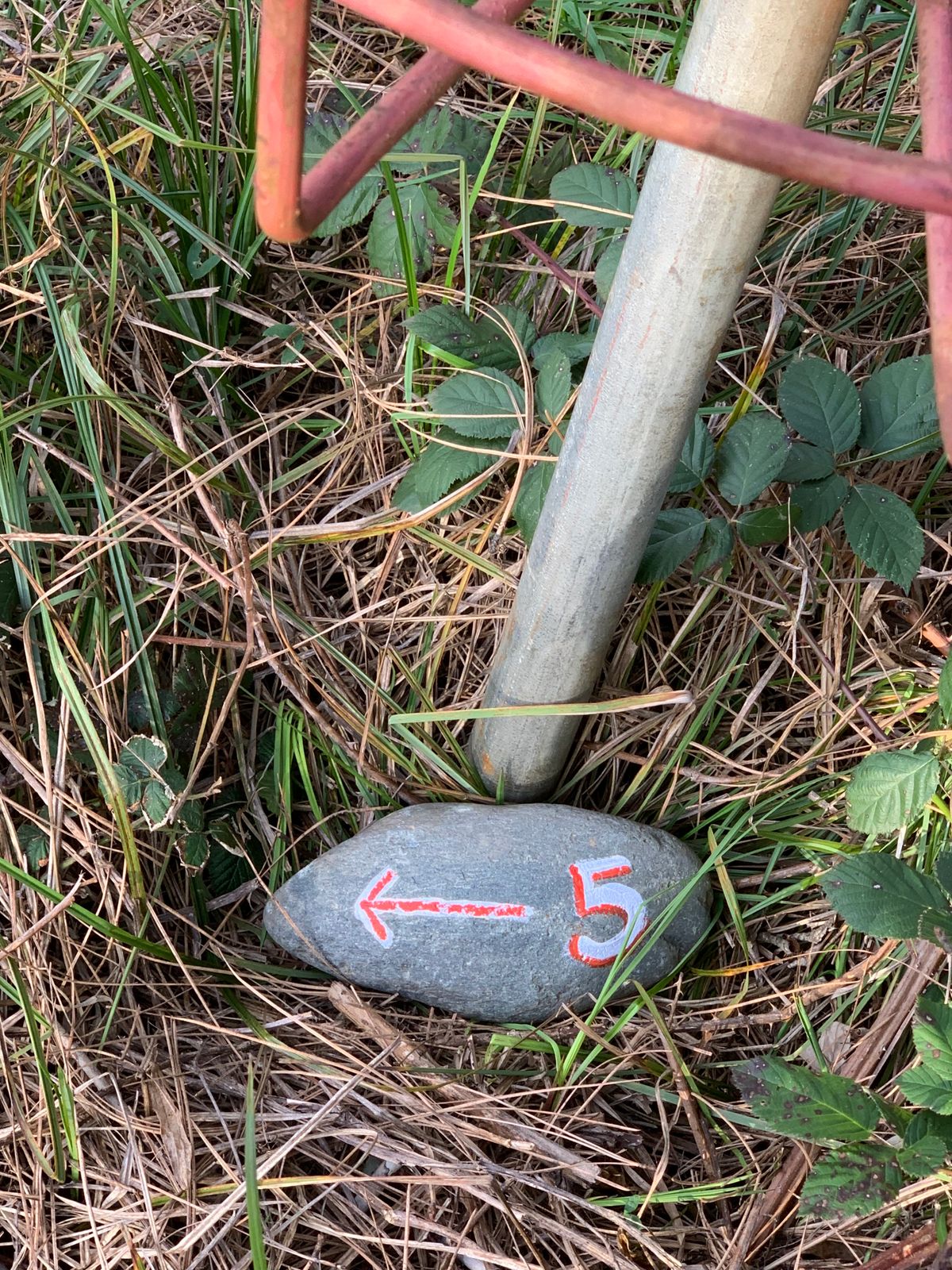 Directions from Basket #4 to Tee Box #5.