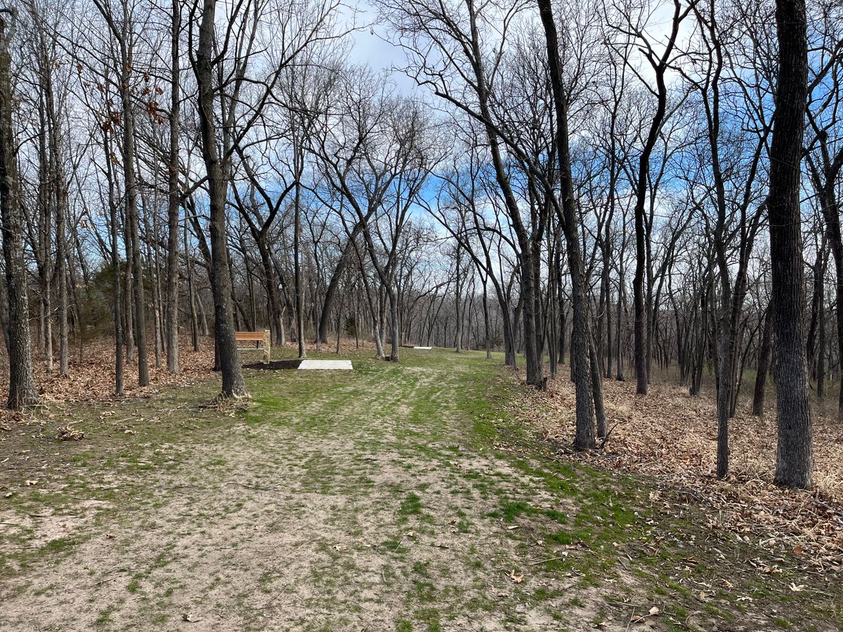 Hole 12 fairway back to tee