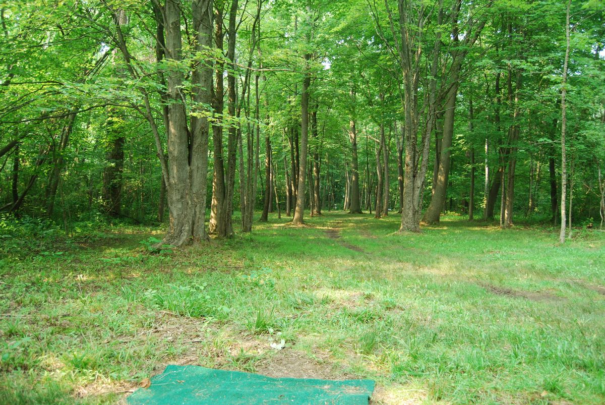 Hole 11 Short tee position