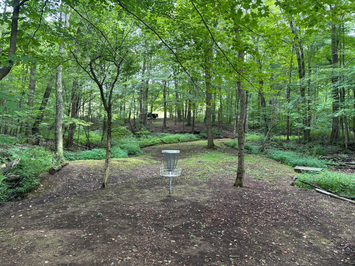 Hole 2 green looking back the fairway.