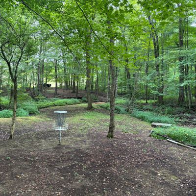 Hole 2 green looking back the fairway.