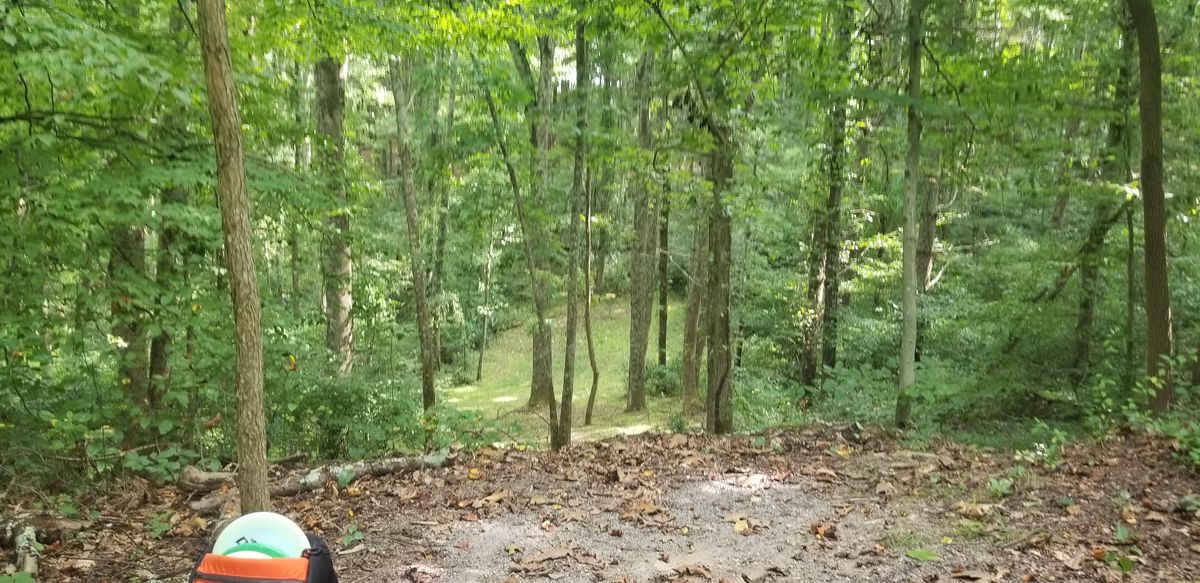 #12 (I think)  short well guarded downhill shot