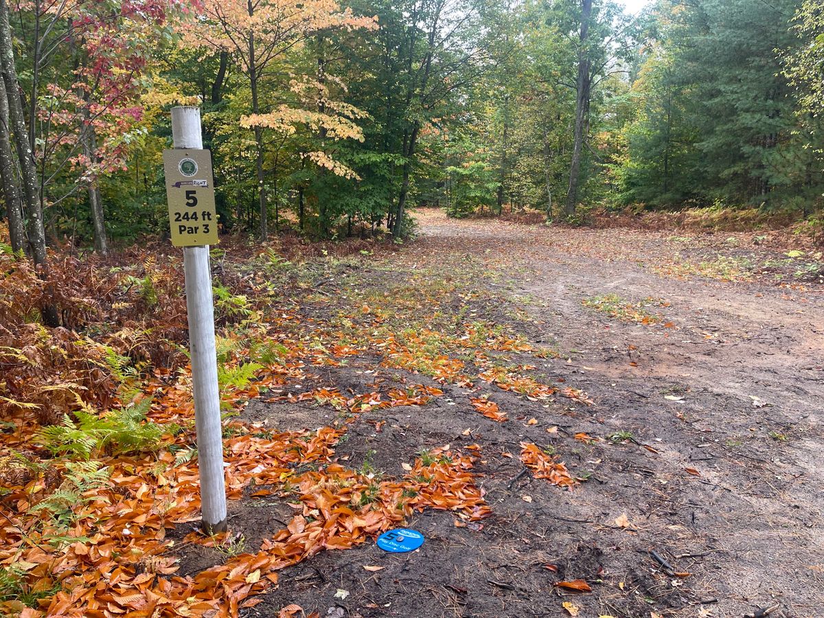 Tee pad 5