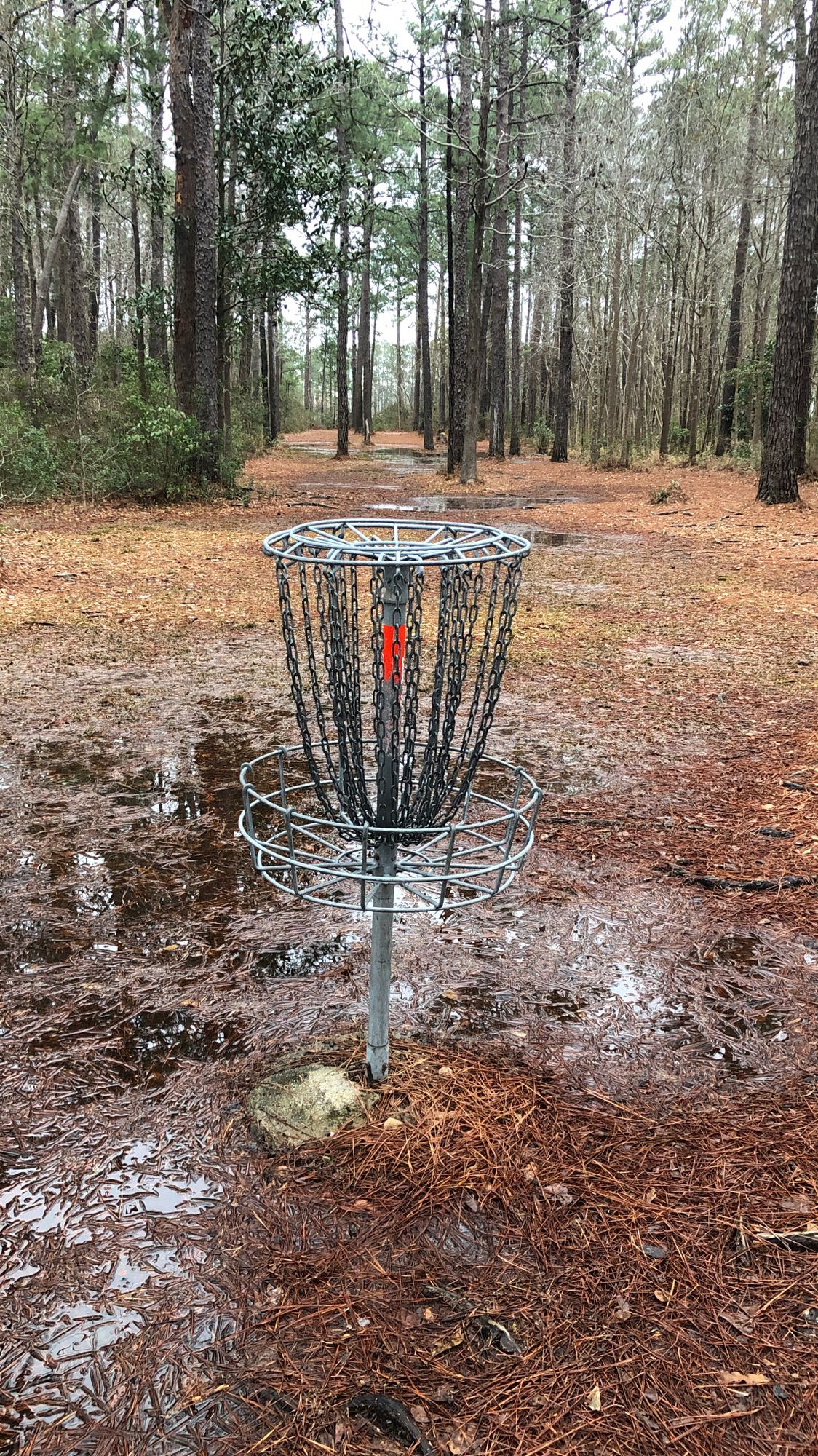 Hole 17 green looking towards tee box