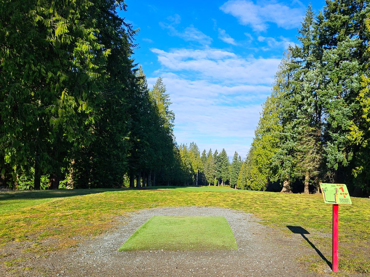 Hole 1 tee pad