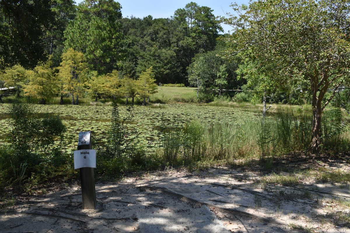Hole 6’s Tee