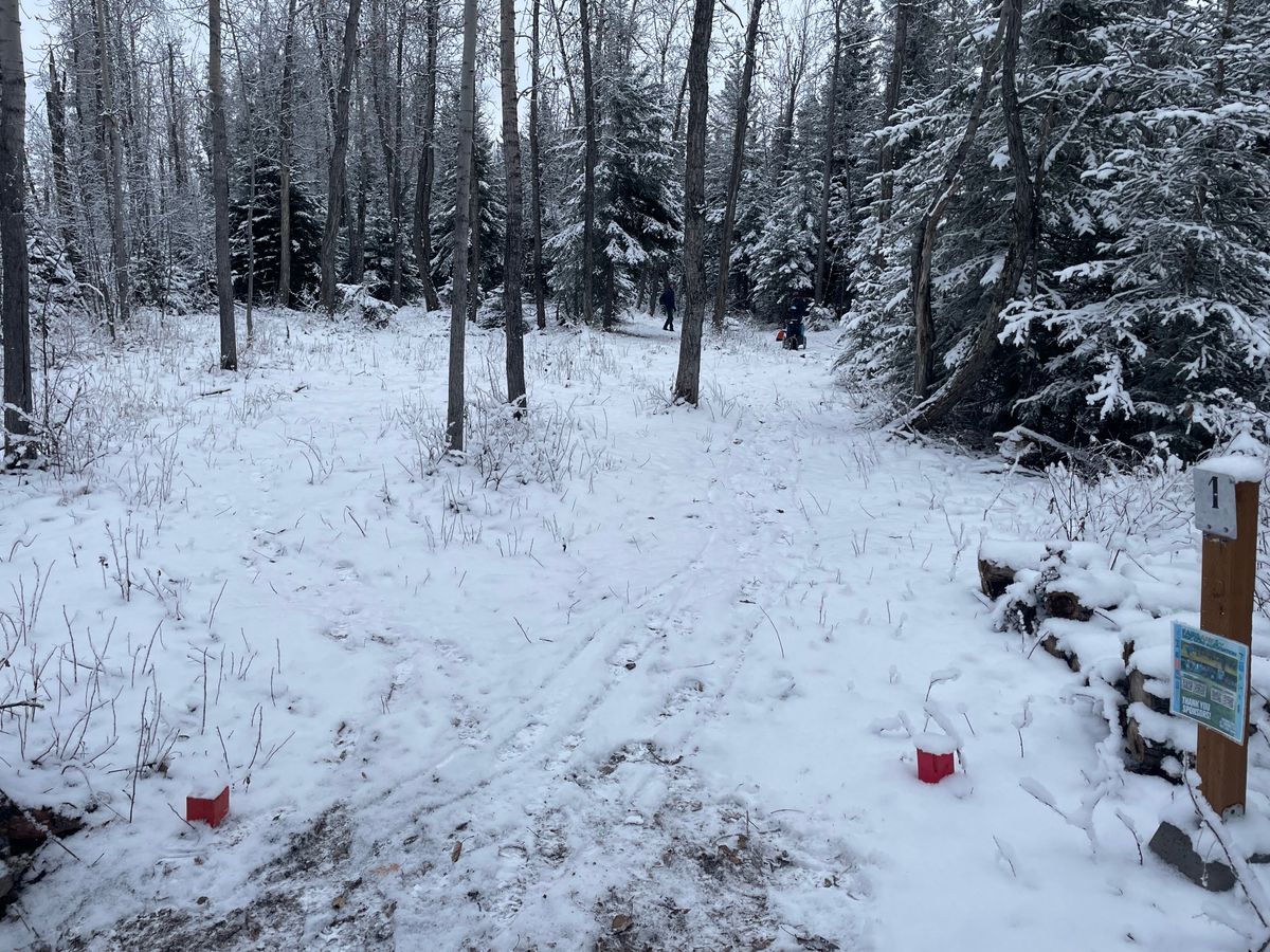 Hole 1 tee pad