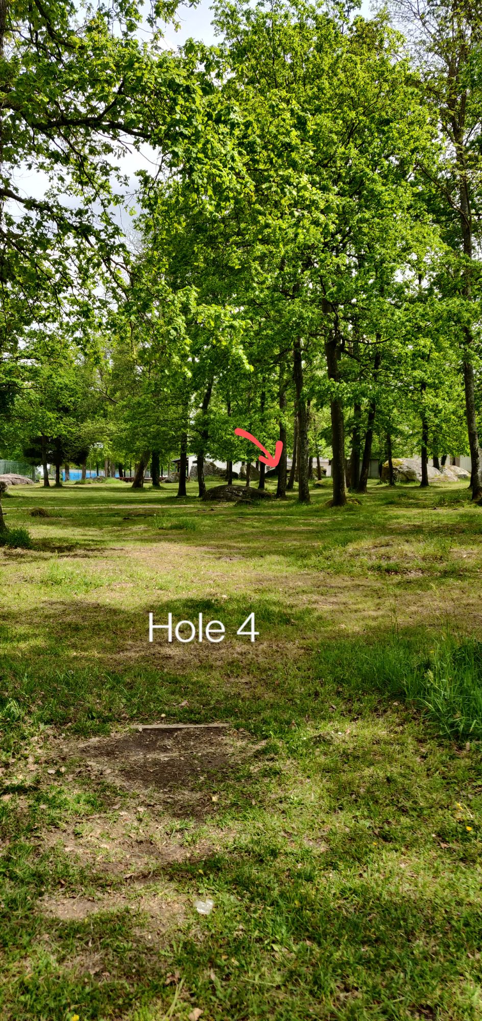 Hole 4