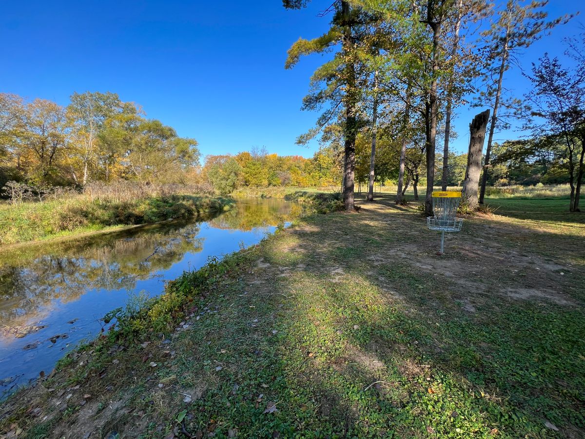 Hole 7 basket area