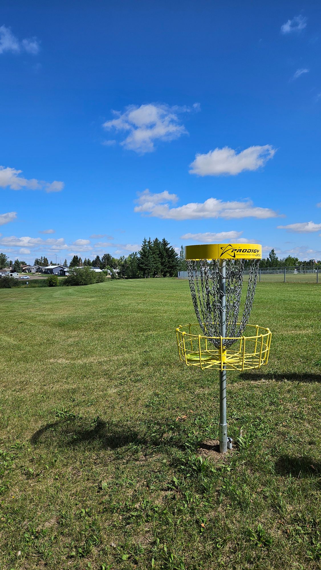 Basket 3 looking back at Fairway