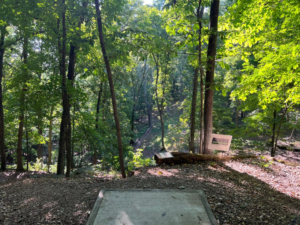Hole 3 tee pad