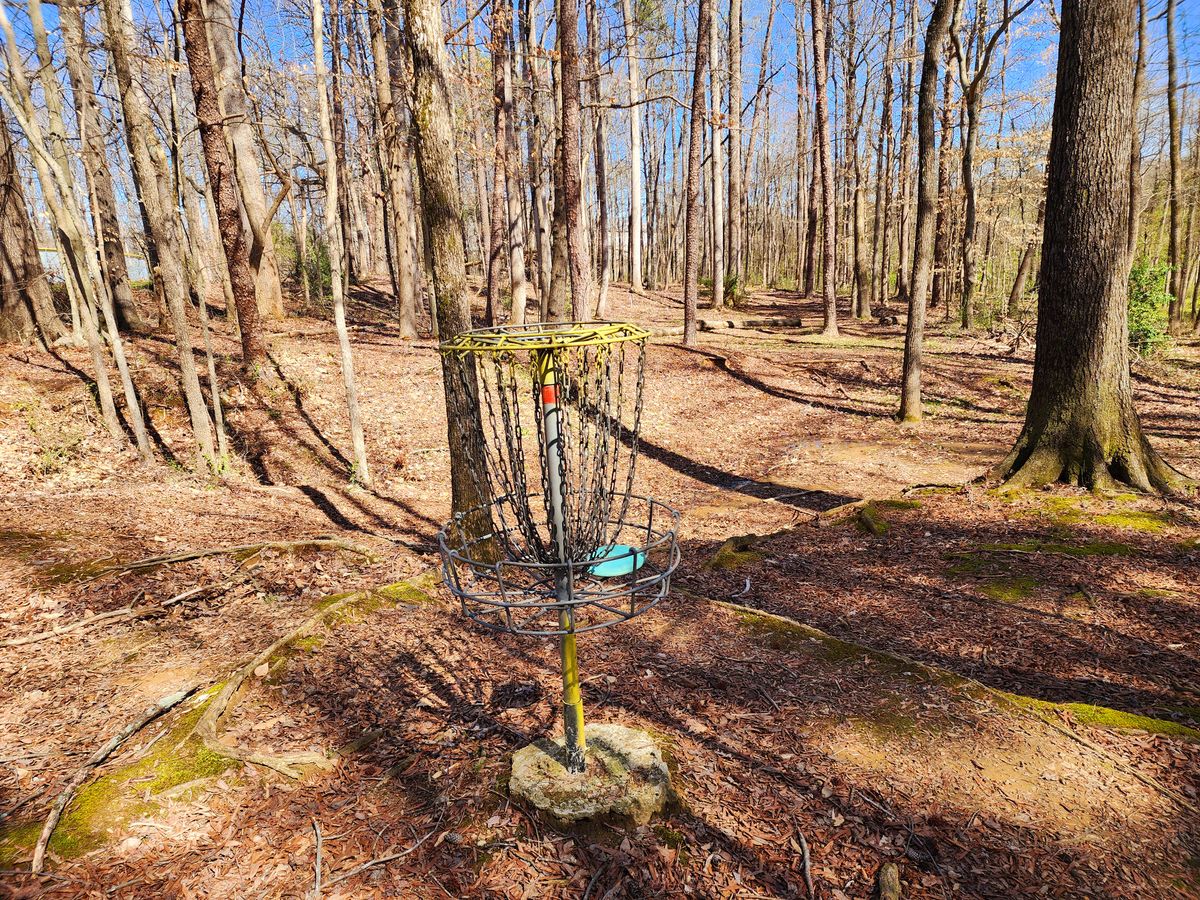 Birdie from original hole 11