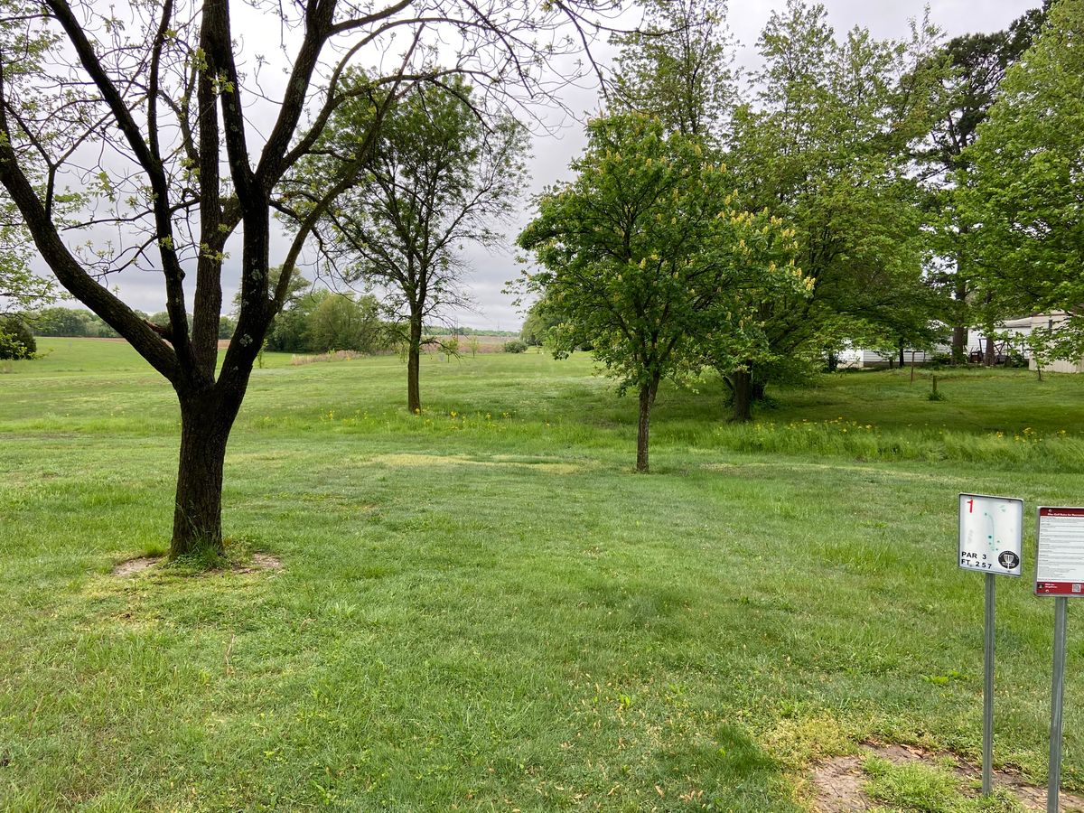 Tee 1