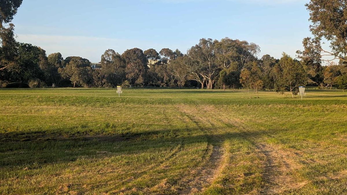 Hole 2 yellow and blue basket