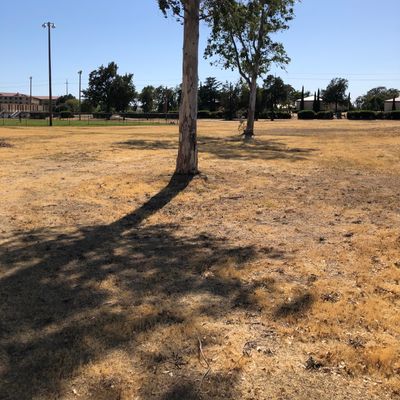 17 tee box. Mando to the left of first tree. Basket 100ft past back tree, just to the left