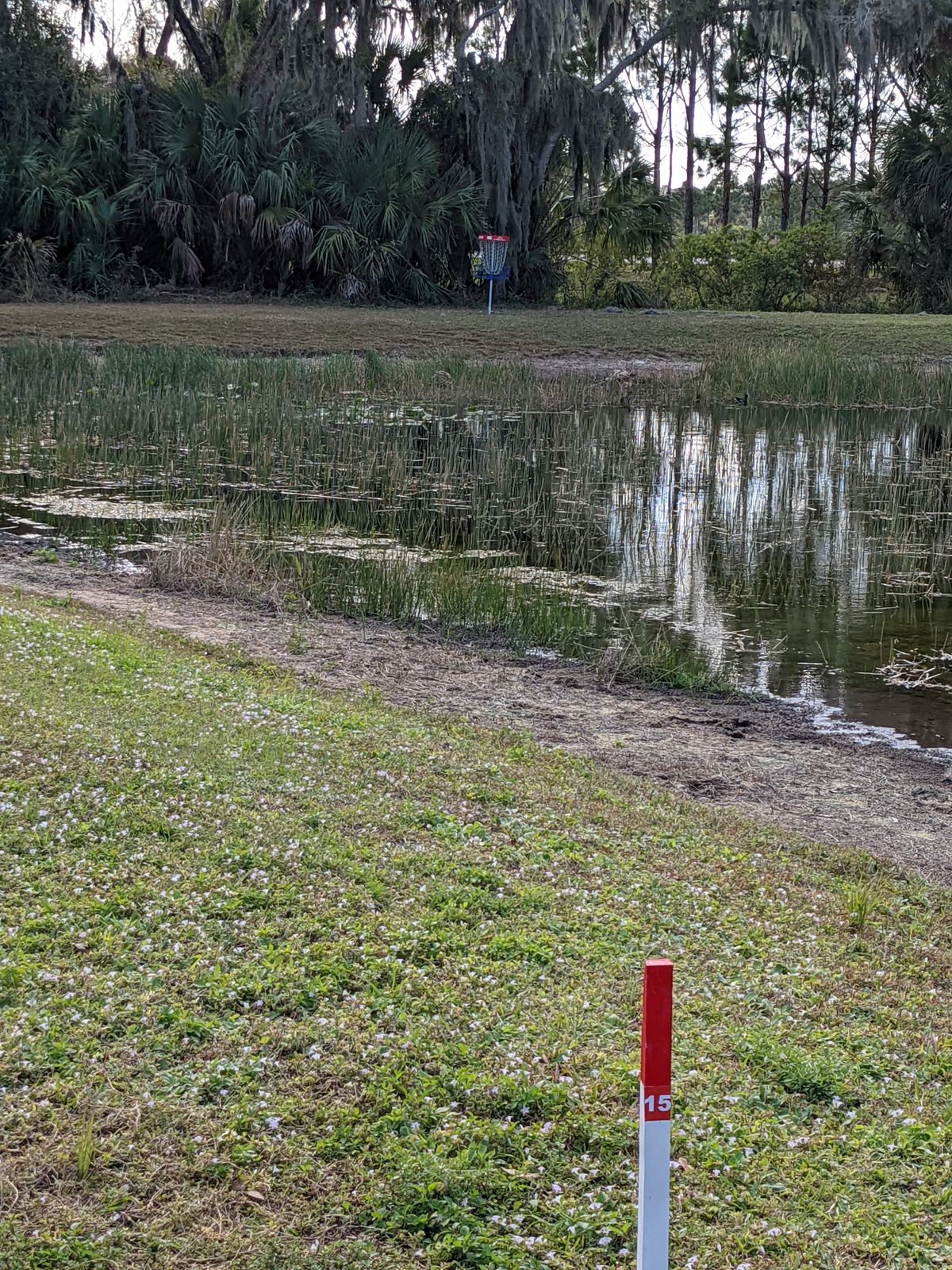 Short par 3 from the red tees but it's almost all water carry and behind it is thick woods