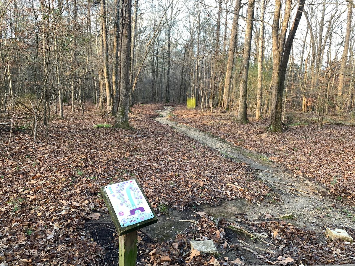 Hole 1 basket highlighted