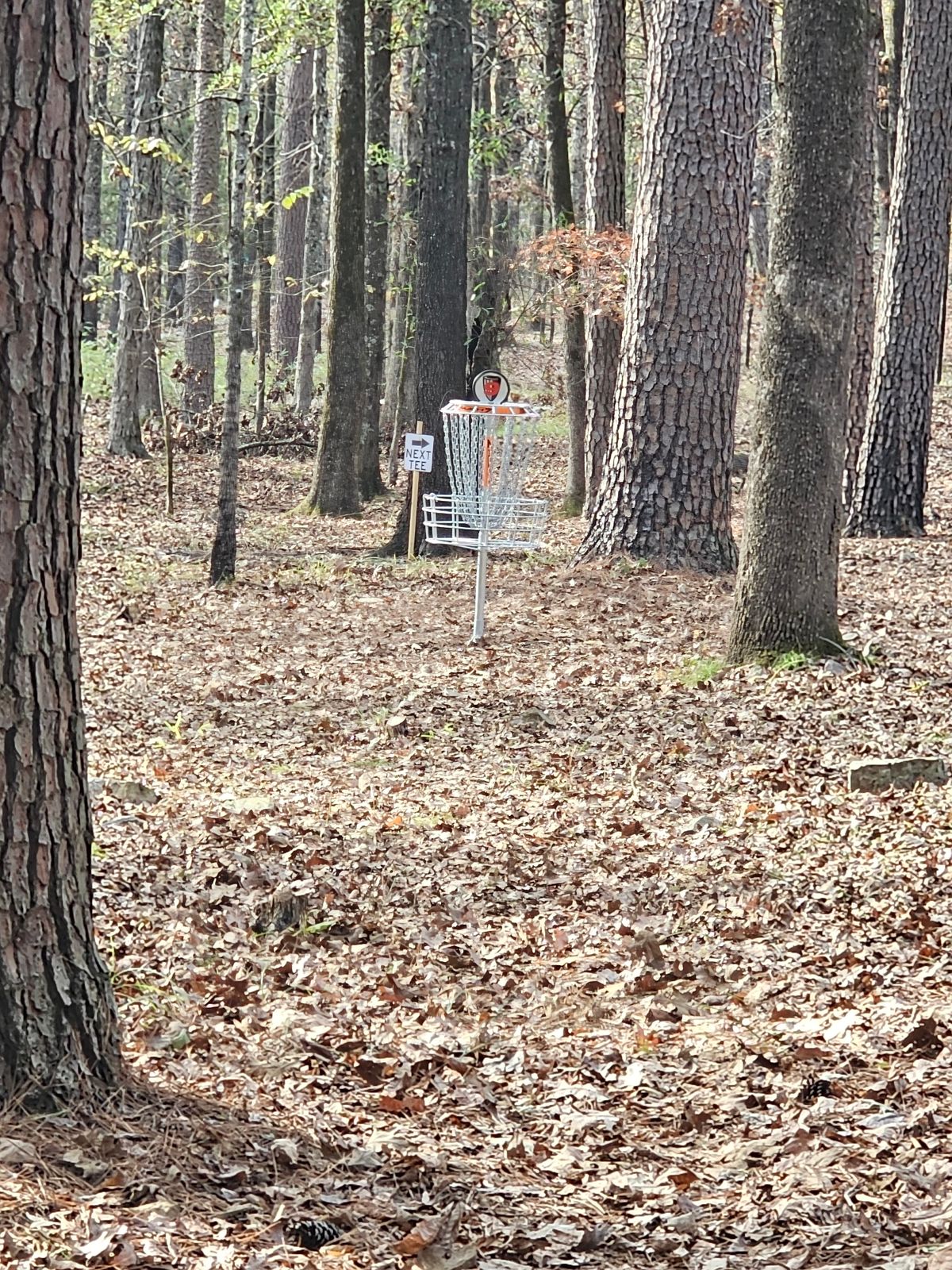 Hole 9