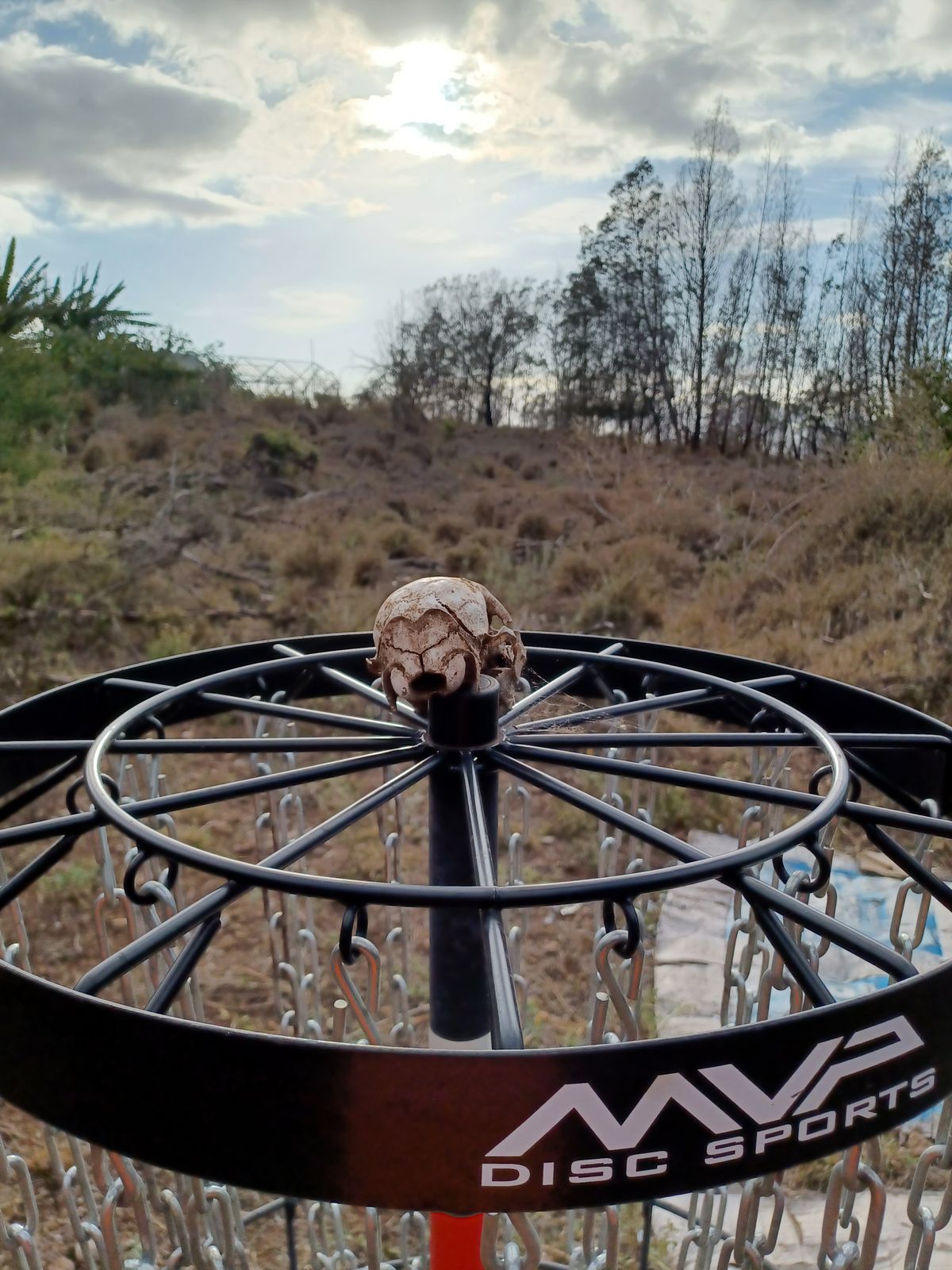 #8 Mad Max reverse View looking at T