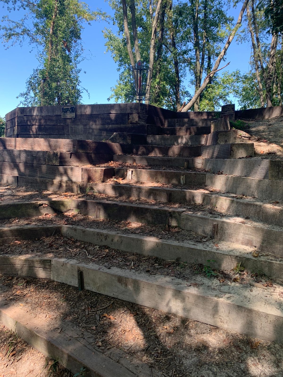Hole 6 basket
