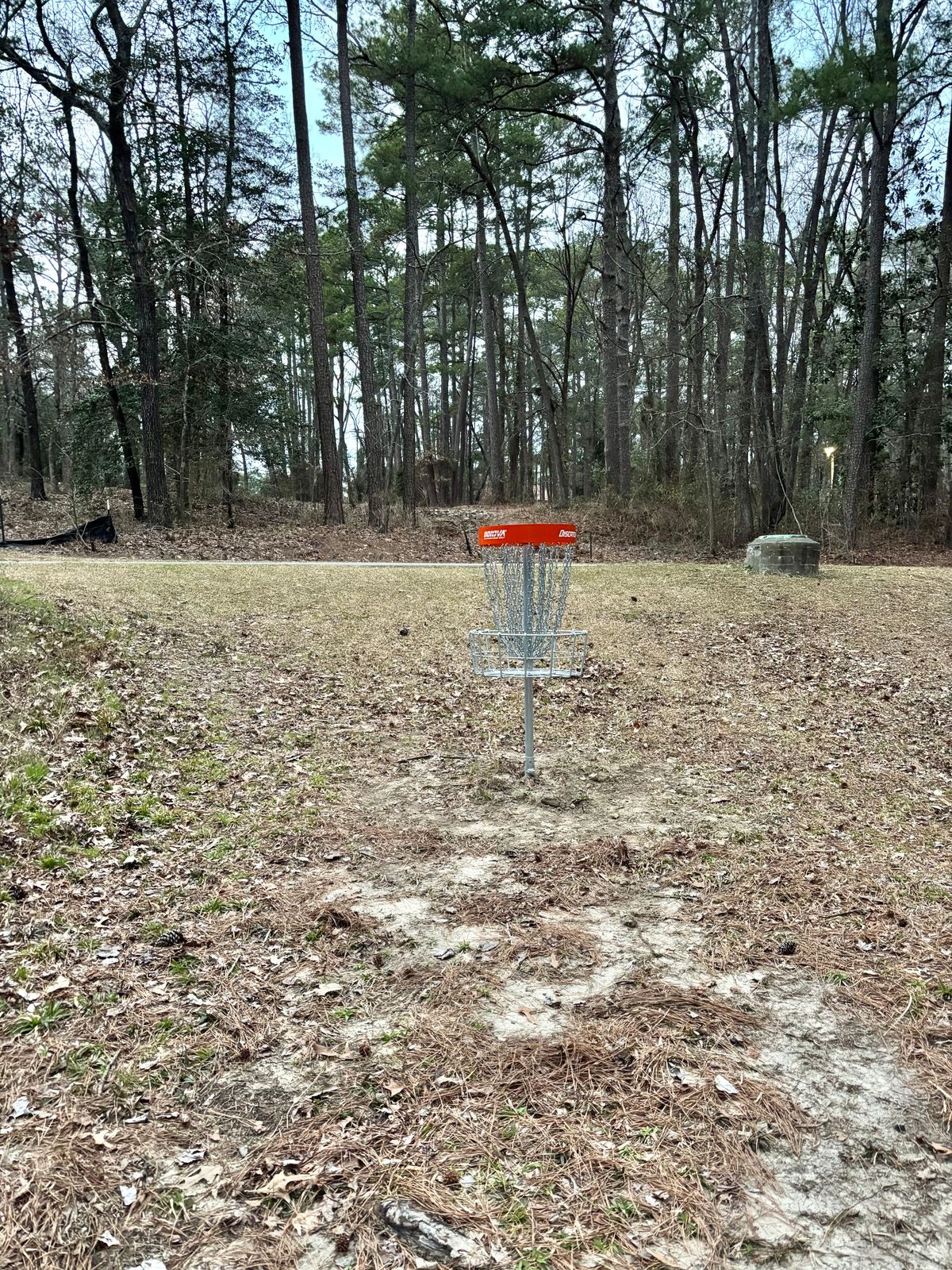 Hole 17 Basket