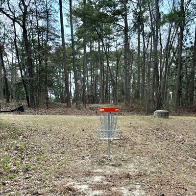 Hole 17 Basket