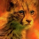cougar336