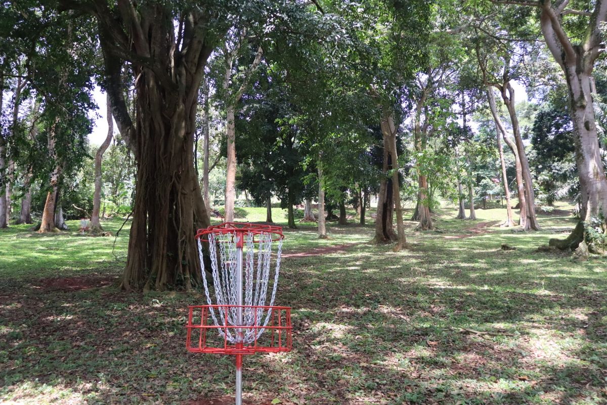Hole 2 basket